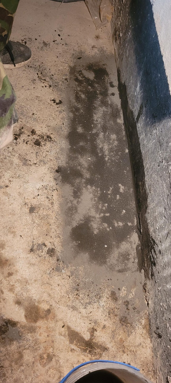 Zawilgocona ściana w piwnicy przed osuszaniem